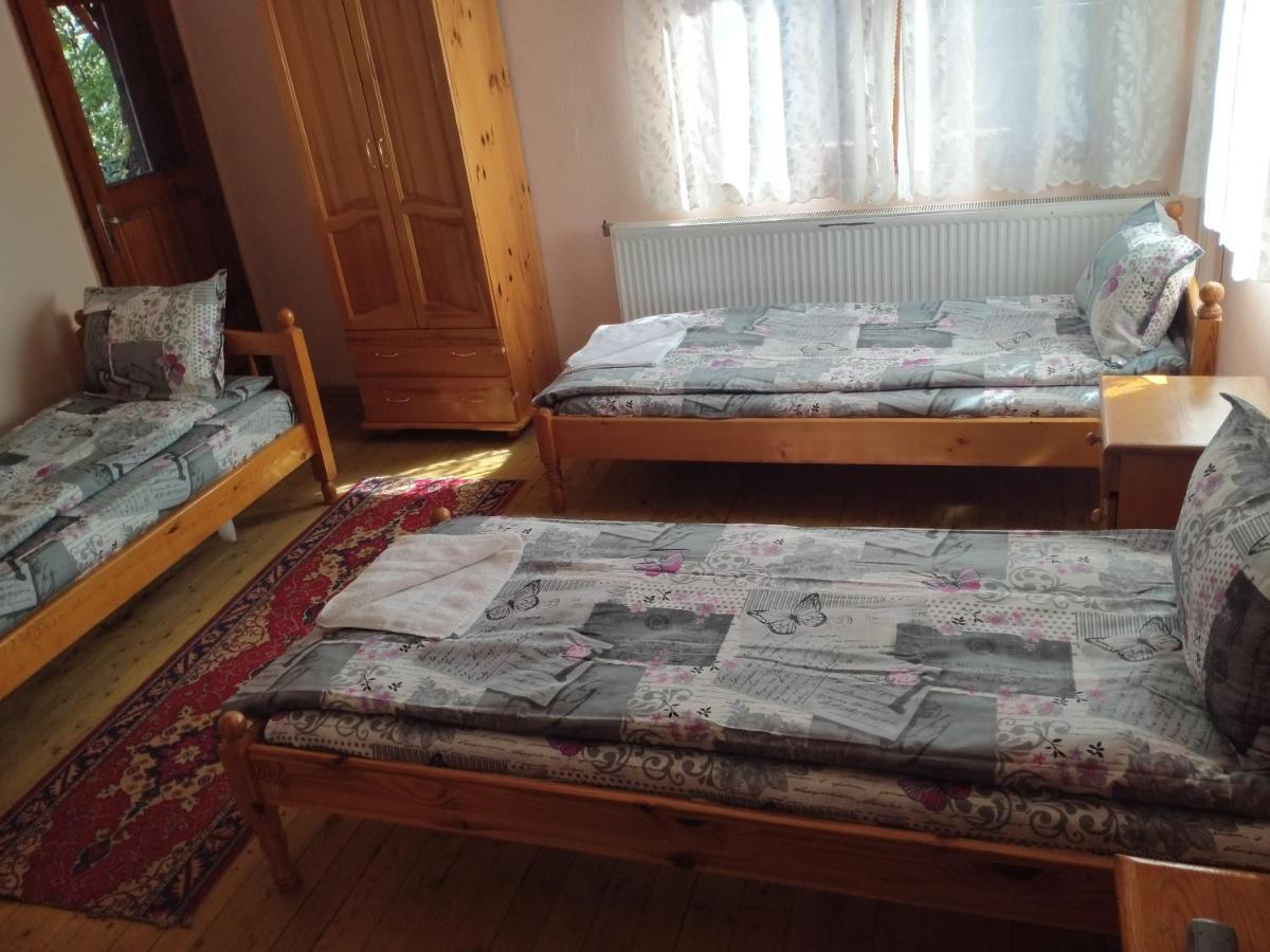 Стаи За Гости Дора Koprivshtitsa Room photo