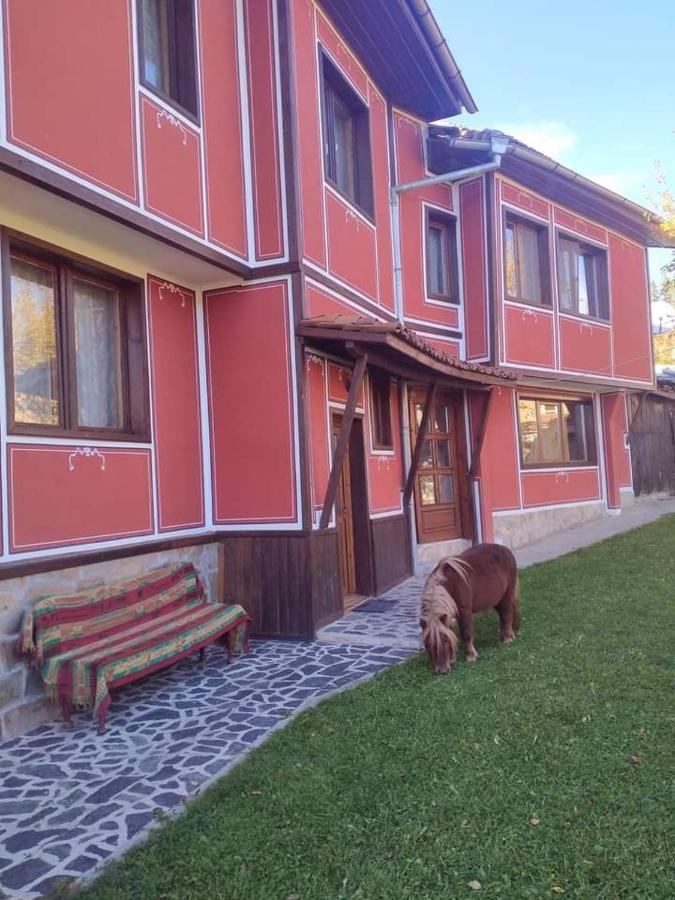 Стаи За Гости Дора Koprivshtitsa Exterior photo